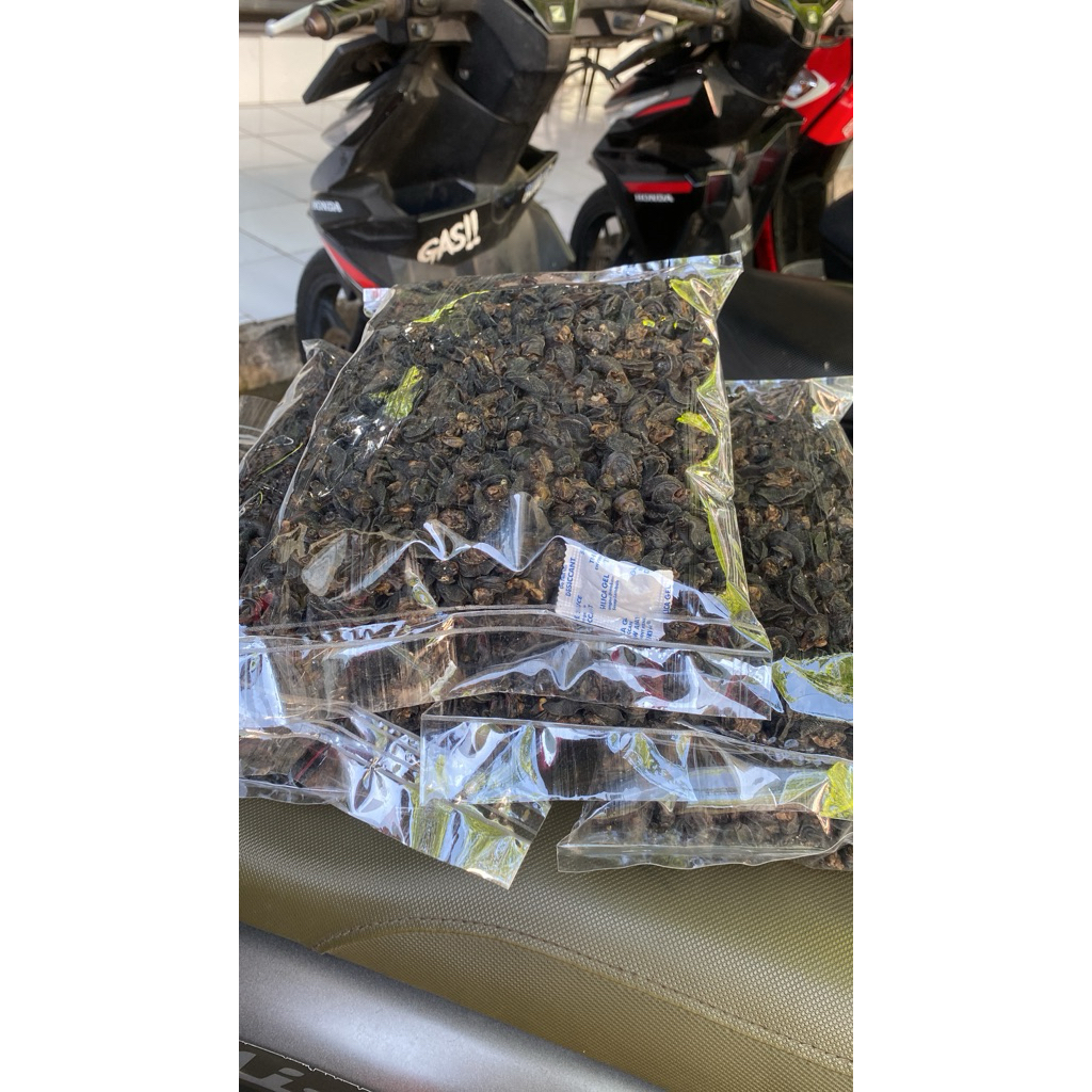 KRECEK BEKICOT/ BEKICOT KERING/ BEKICOT