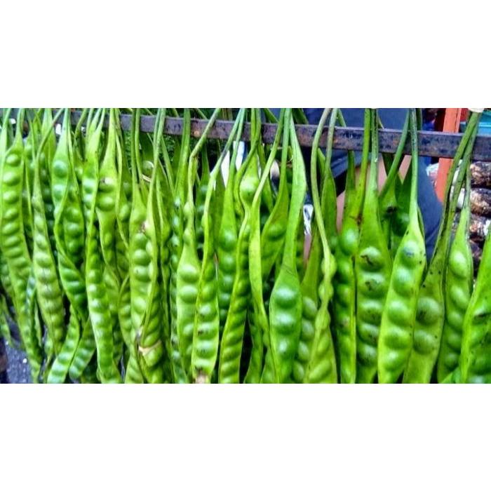 

Pete Petai per 10 papan / lonjor