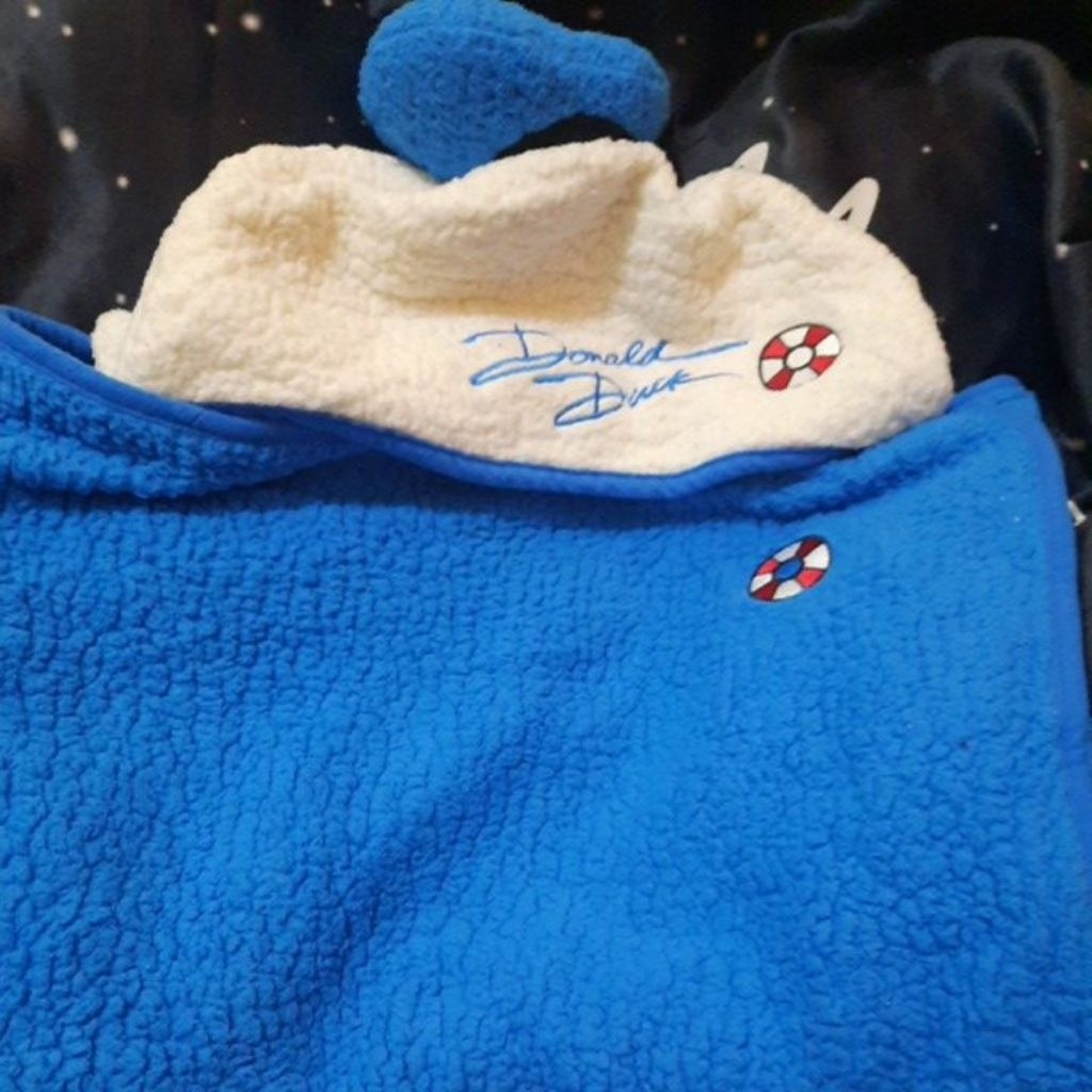 Handuk Hoodie Donald Duck Exclusive Tokyo Disney Resort Rare