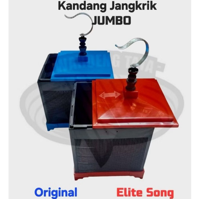 Kandang Jangkrik JUMBO Elite Song