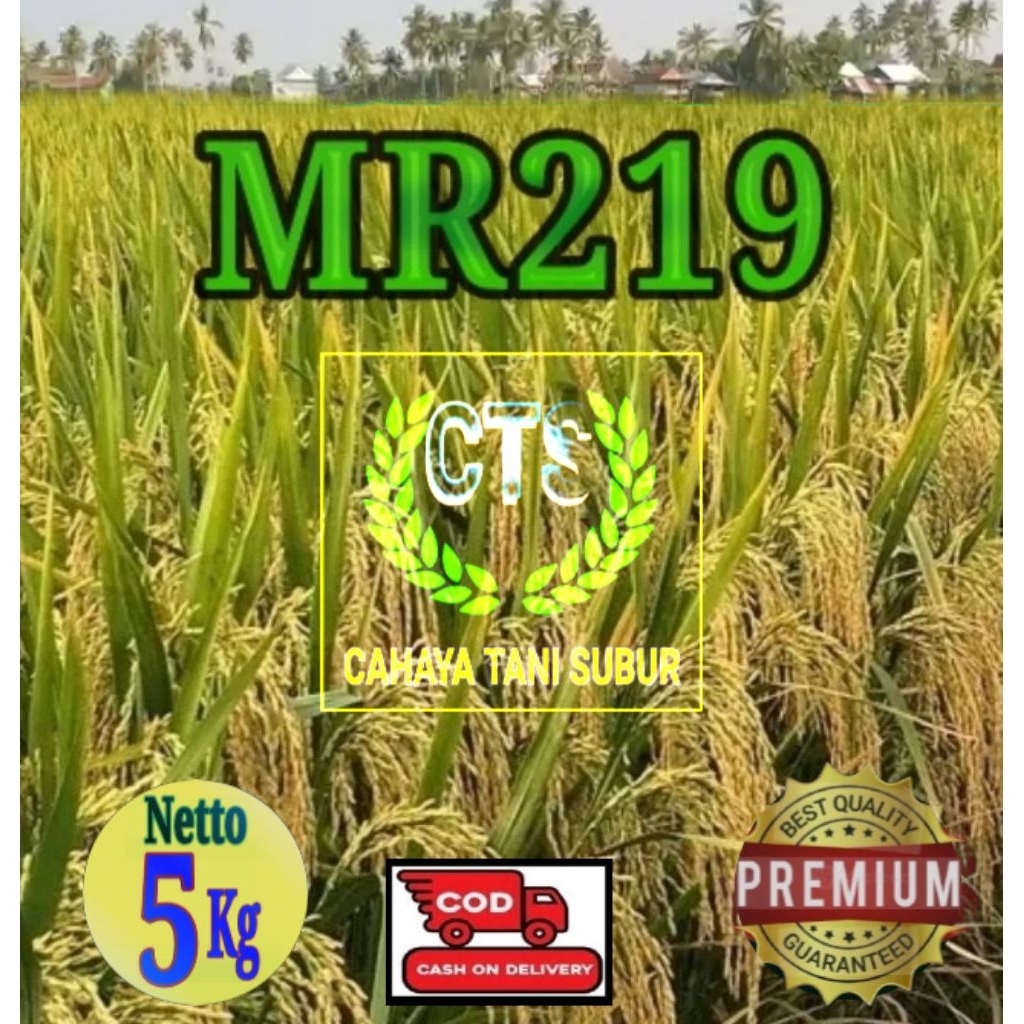 MR 219 Benih Padi Bibit Unggul (5kg) Super