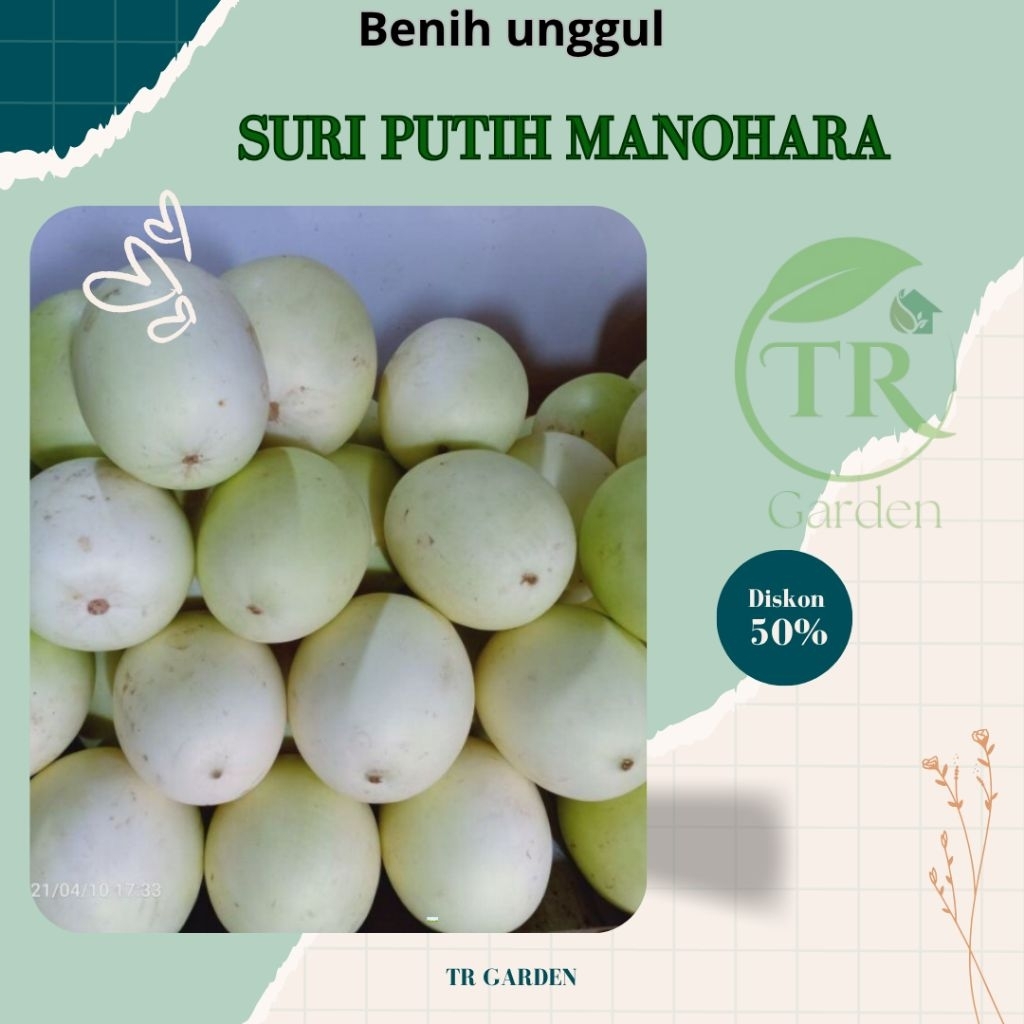 ( 50 gram ) BENIH BIJI TIMUN SURI MANOHARA | SURI SULAWESI PAKET HEMAT