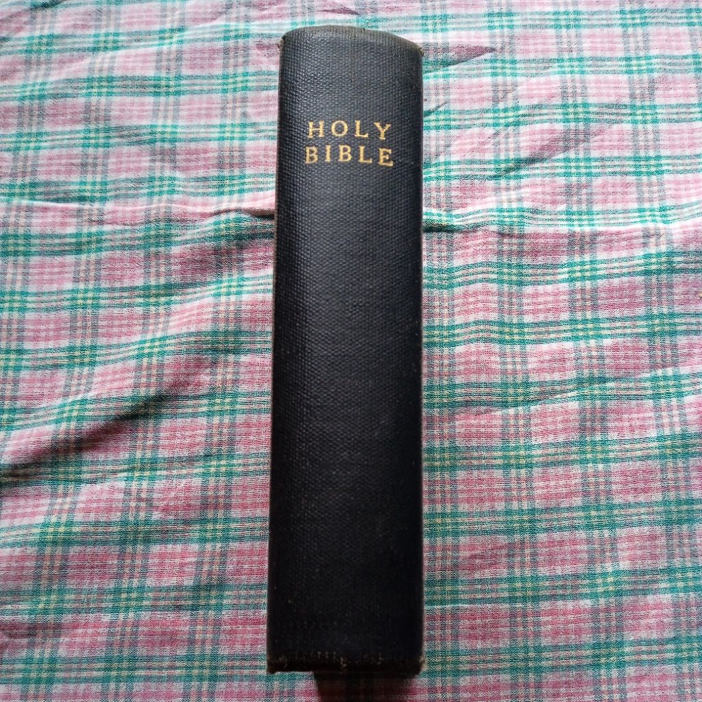 BUKU HOLY BIBLE
