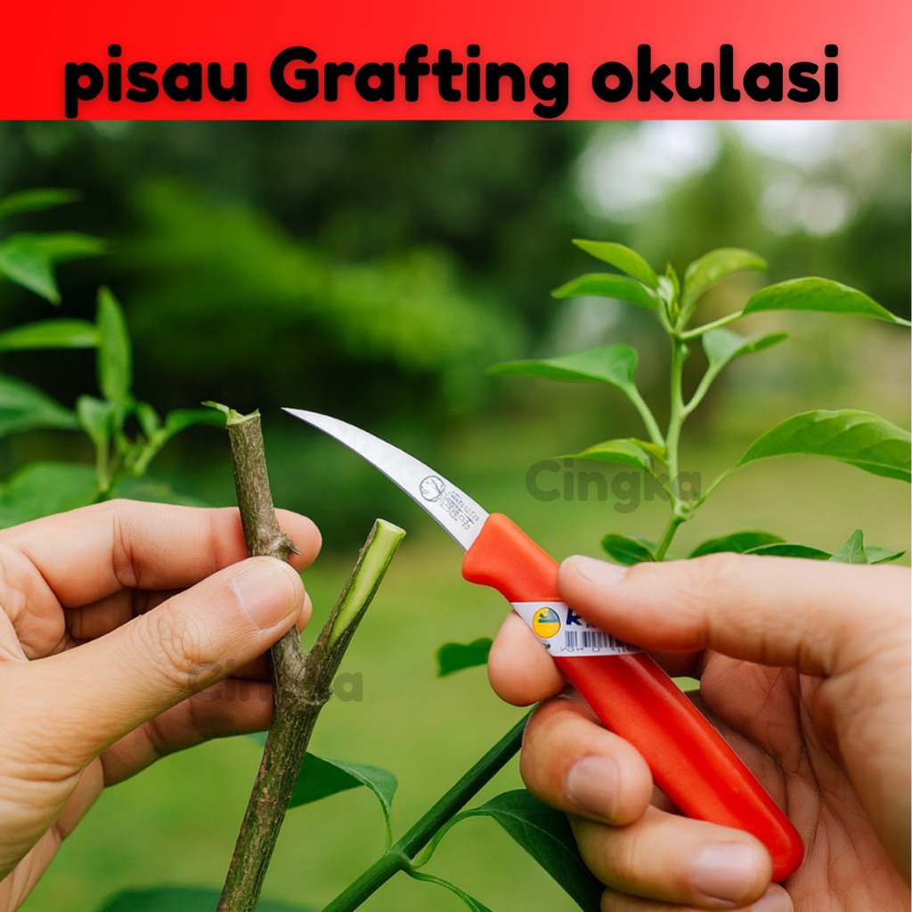 Pisau Okulasi Grafting Cangkok Alat Berkebun Tanaman CINGKA