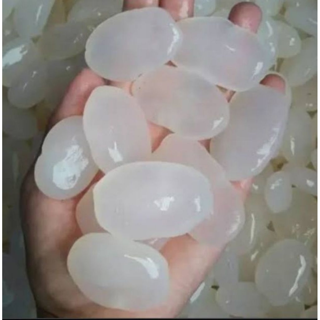 

kolang kaling segar dan fresh 1kg