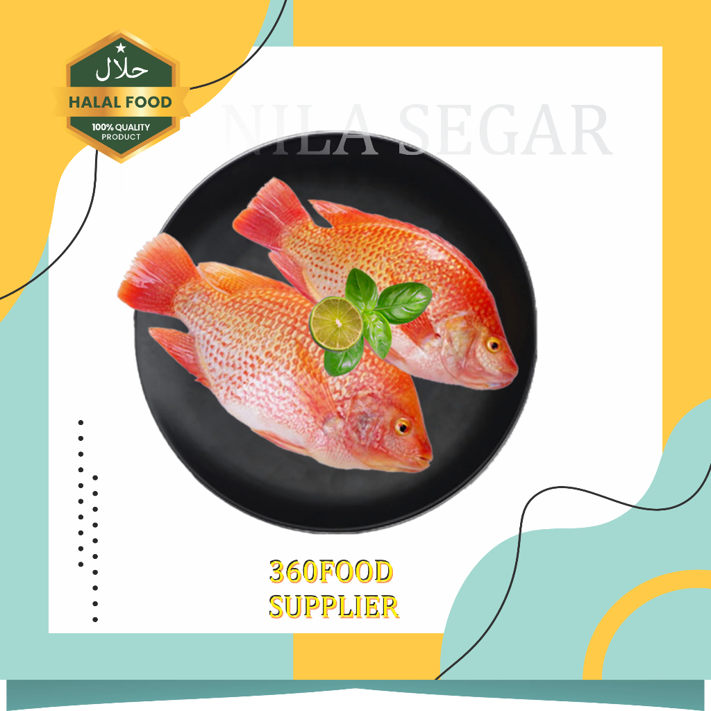 

ikan nila segar berkualitas