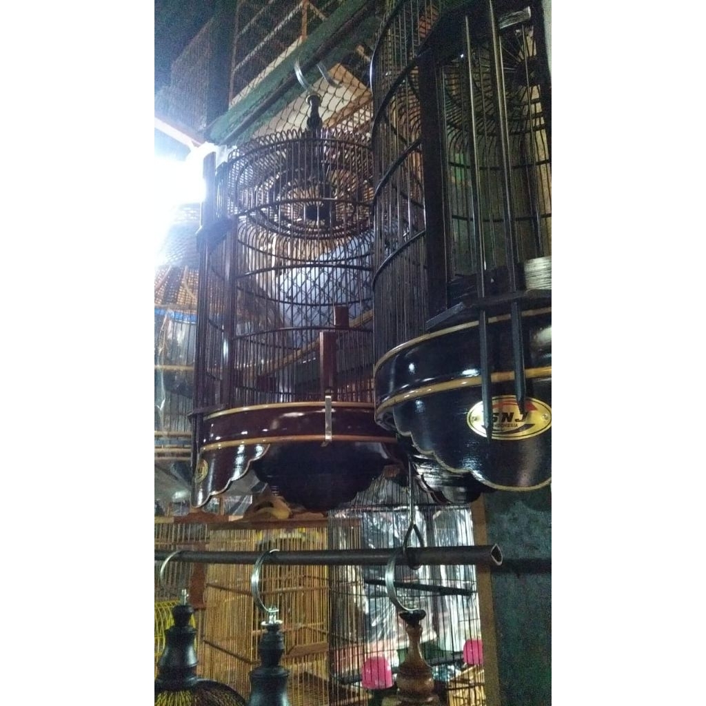 Sangkar Burung Anis/Wambi