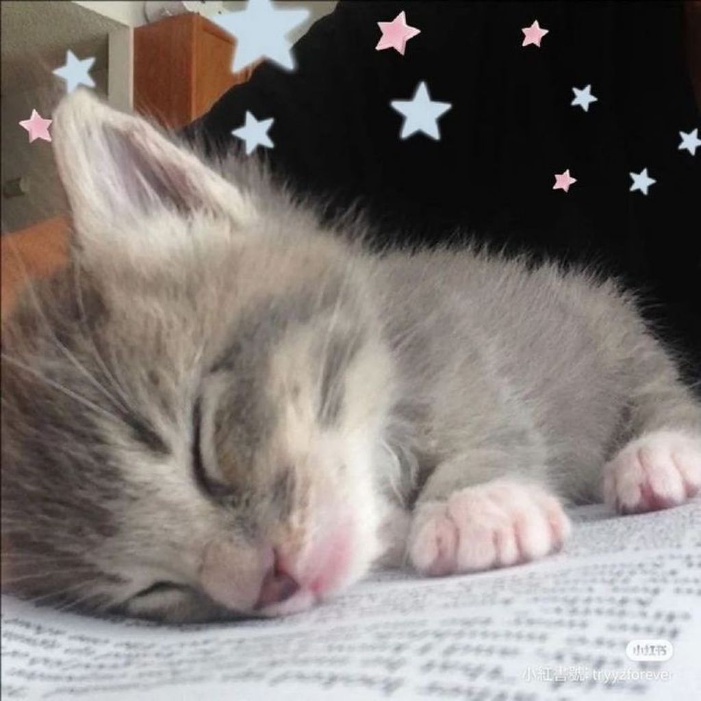 Ready Items by Jeliours. Coquette Himekaji Soft Pink Jojifuku Kawaii Mezzo Piano Axes Femme Rosa Che