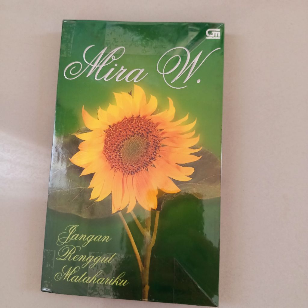 Novel remaja dewasa Mira W Jangan Renggut Matahariku