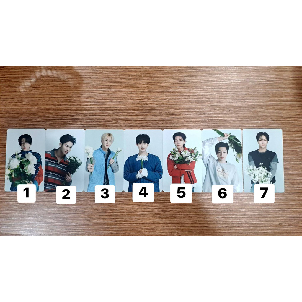 PHOTOCARD ENHYPEN JAPAN ALBUM YOI UMS