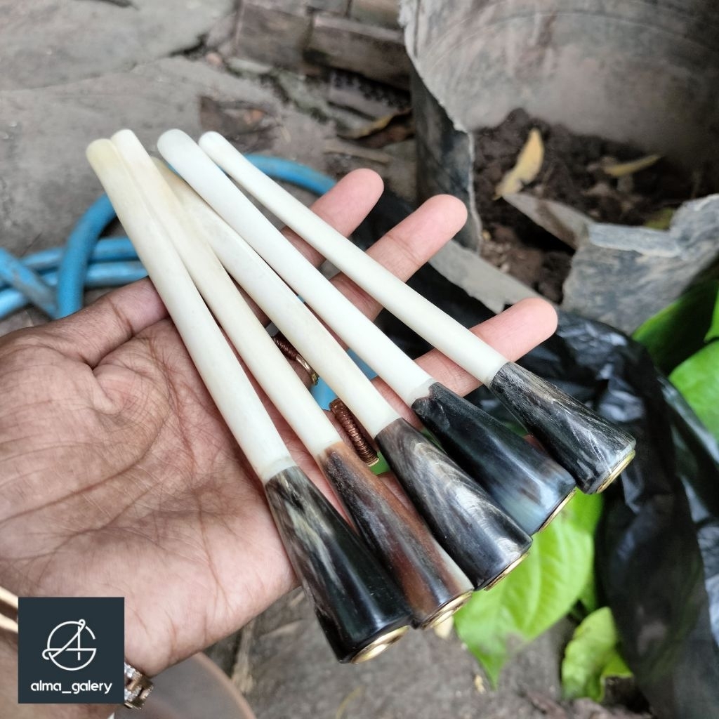 GALERY_ALMA once cangklong tulang kelelawar tulang kalong kombinasi tulsap