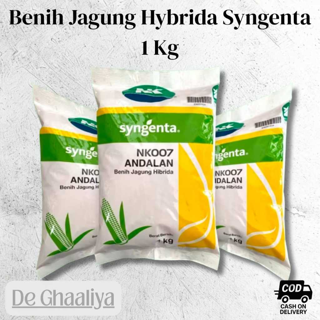 Benih Jagung Hybrida Syngenta 1 Kg NK 007 Andalan Benih Jagung Hibrida 1Kg Syngenta