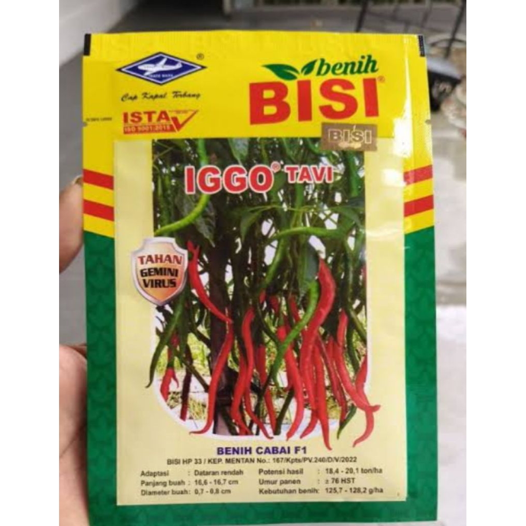 Benih cabai keriting iggo tavi 10 gram