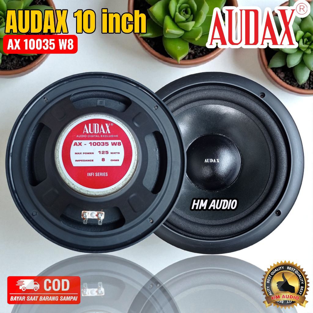 Speaker 10 inch AUDAX AX 10035 W8 Original