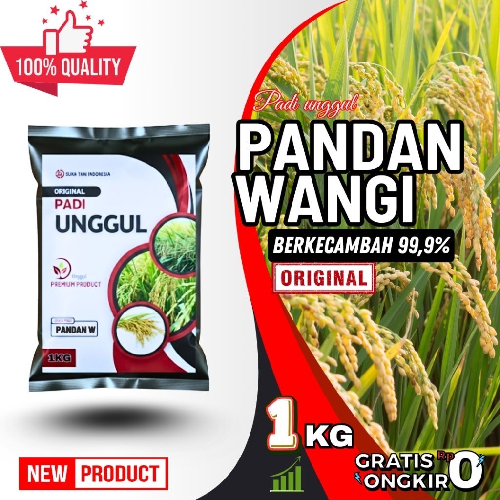 Benih padi unggul pandan wangi cianjur original kemasan 5kg