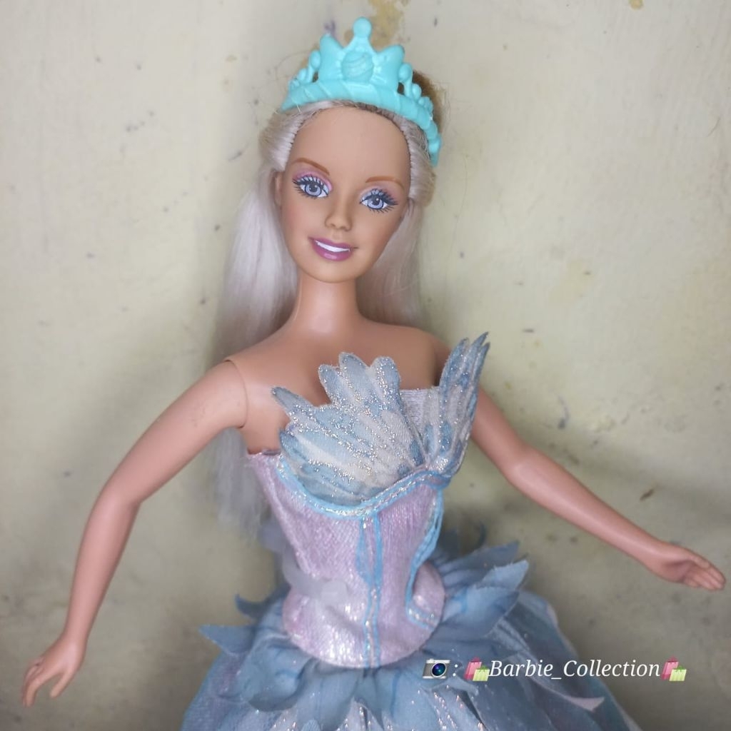 Barbie Odet swan lake costum
