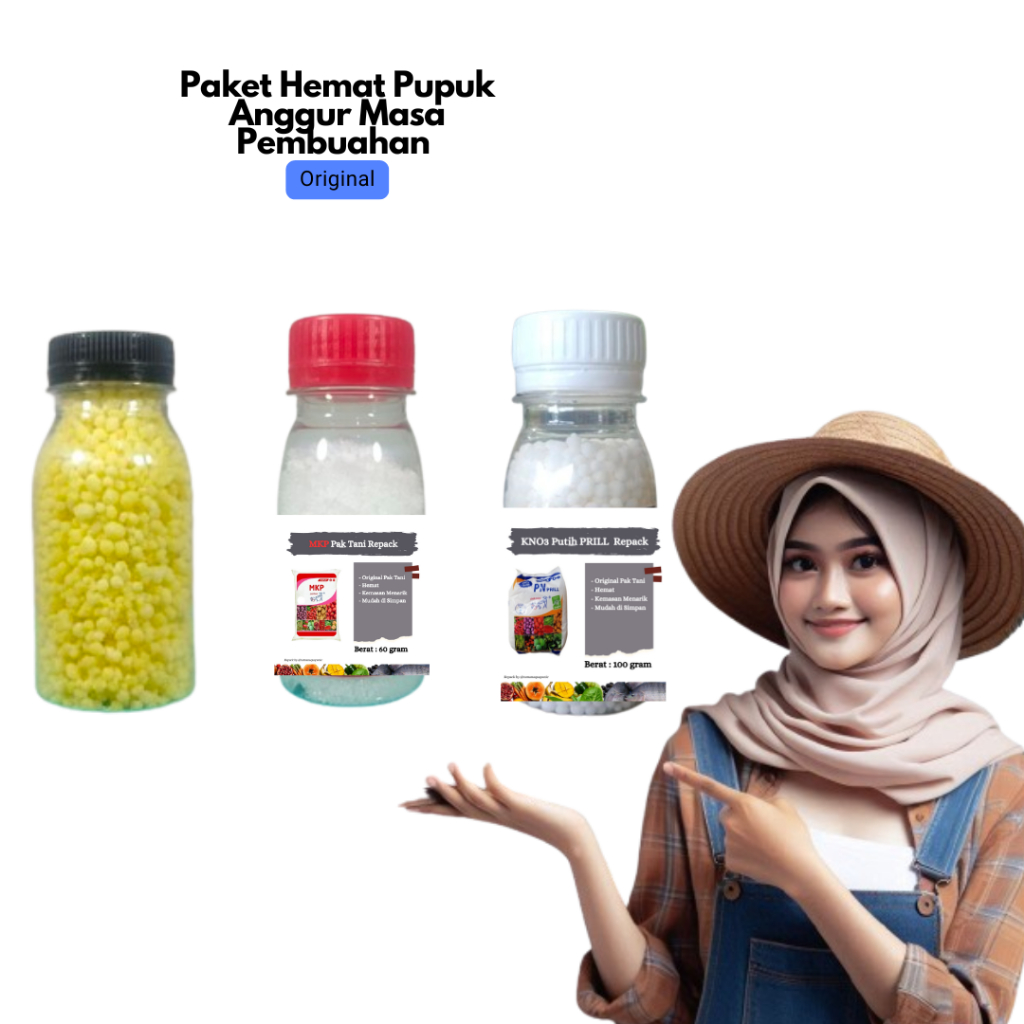 Paket Ekonomis Pupuk Anggur Masa Pembuahan