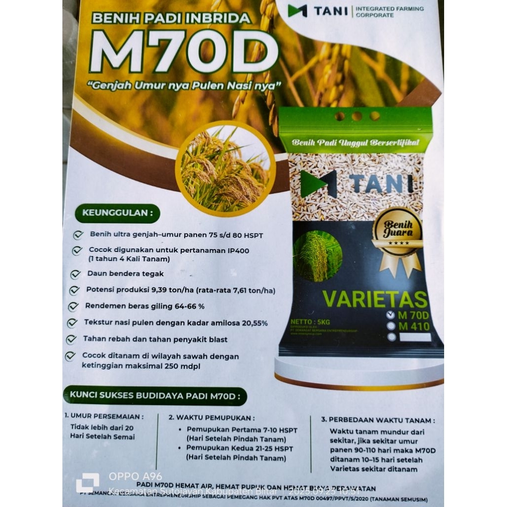 benih padi M tani M70D repack ½kg