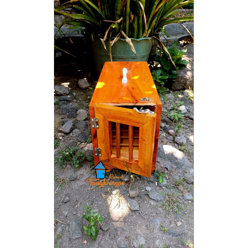Box merpati finishing natural, kotak untuk membawa merpati