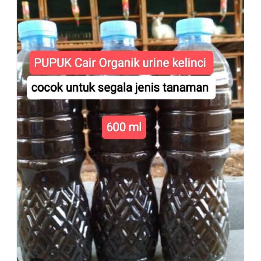 URINE KELINCI MURNI TANPA CAMPURAN PUPUK ORGANIK PUPUK KANDANG PUPUK CAIR ORGANIK COCOK UNTUK PENYUB