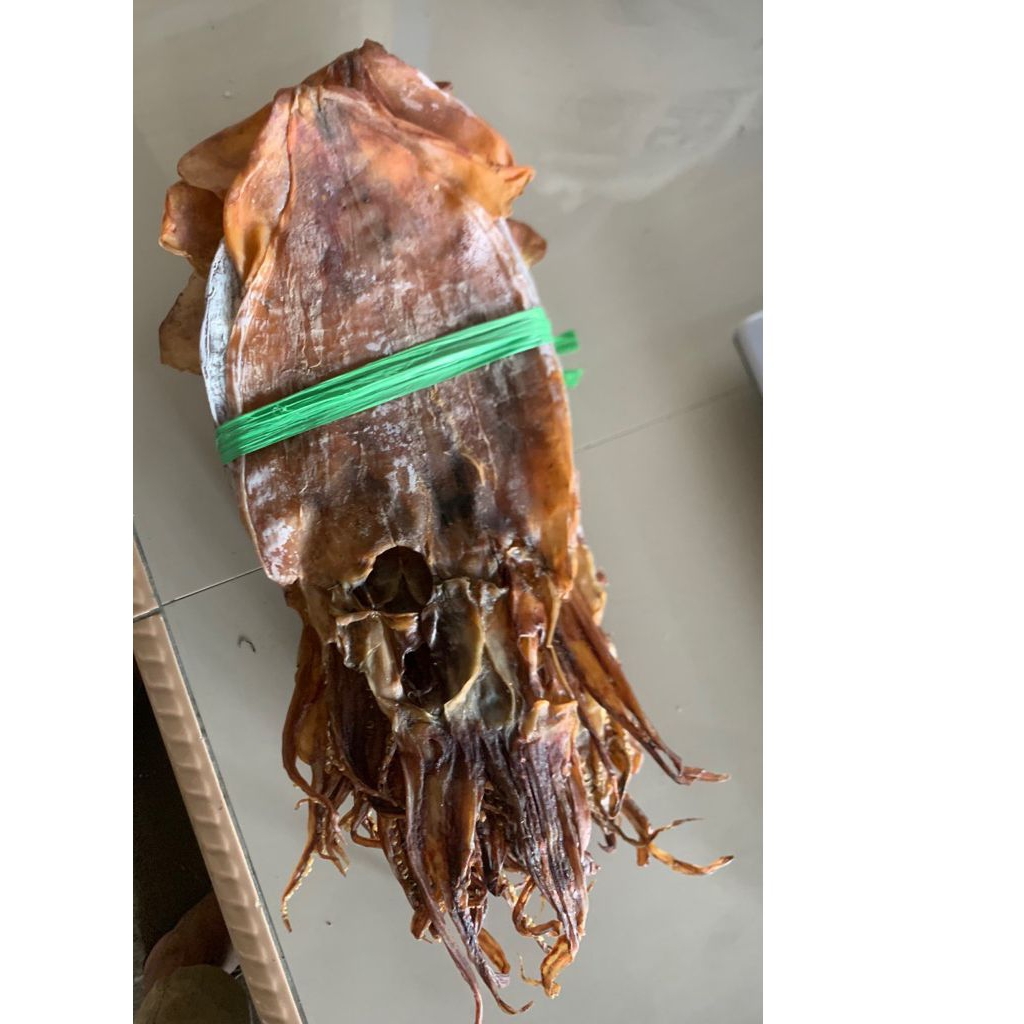 cumi sotong juhi kering tawar size besar