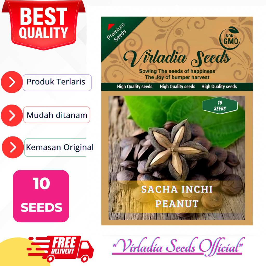 [Virladia Seeds] Biji Benih tanaman Kacang Sacha Inchi | Kacang Bintang