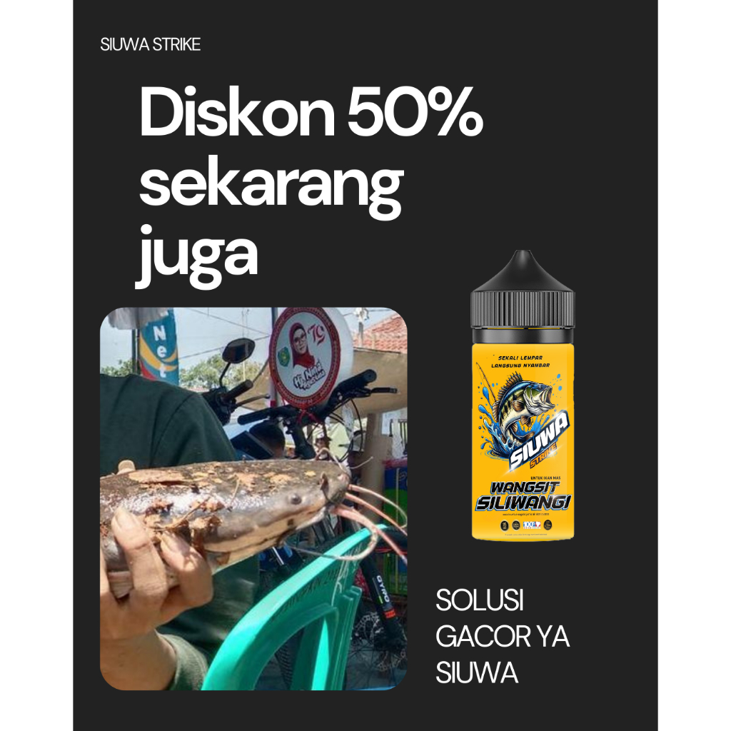 Umpan lele galatama essen siuwa umpan paling ampuh