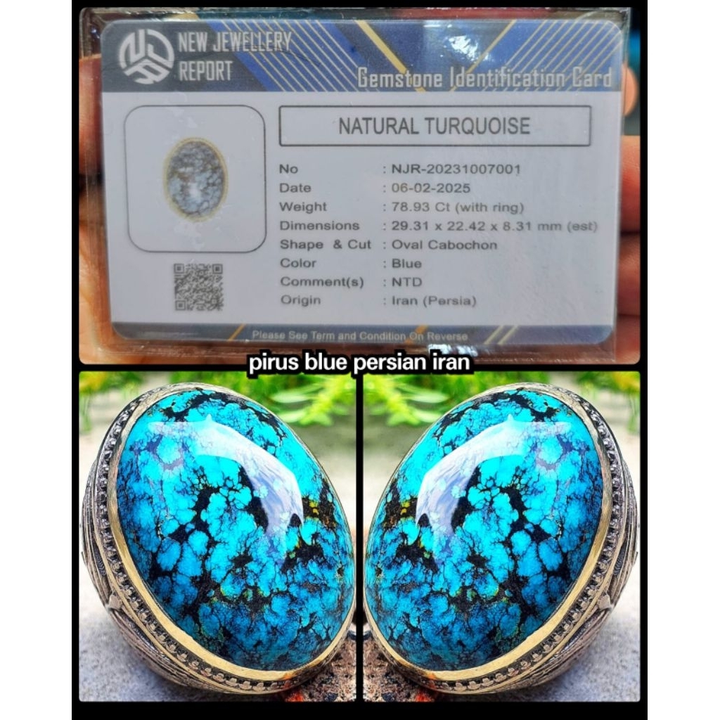 pirus blue fancy jumbo asli persi iran ya