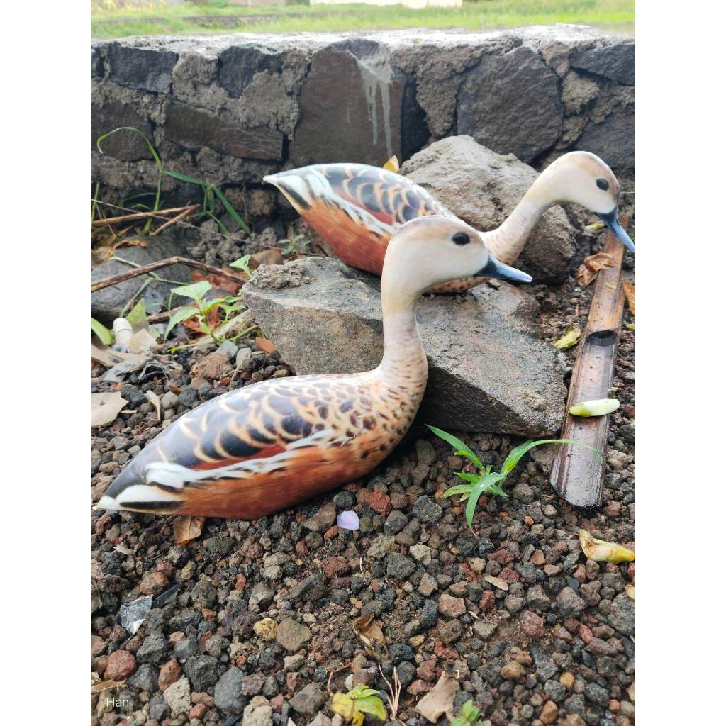 Patung Jontrot Belibis Kembang Realistis