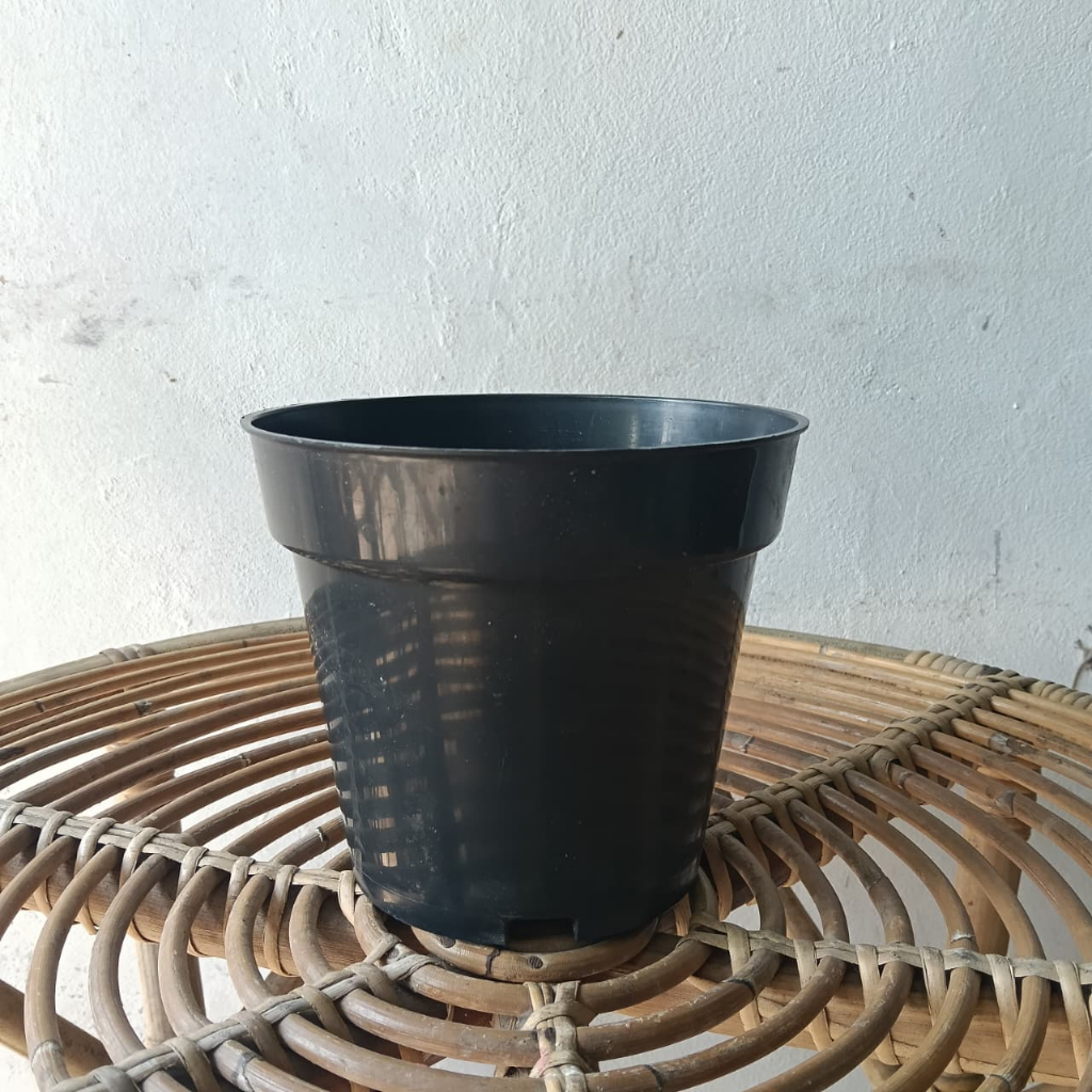pot plastik hitam/ pot bunga hidup/ pot bunga hiasan/ POT PLASTIK SRONDOL