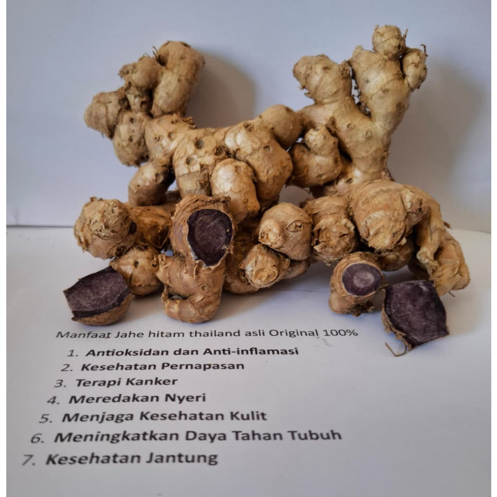 Rimpang jahe Hitam Asli 250Gram - Jahe hitam asli - Jahe hitam thailand - Black ginger - Obat Jantun