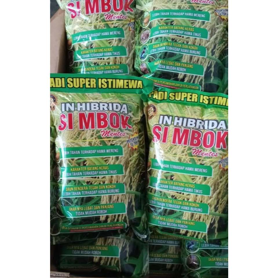 Bibit padi simbok in hibrida 1 kg mentes unggul