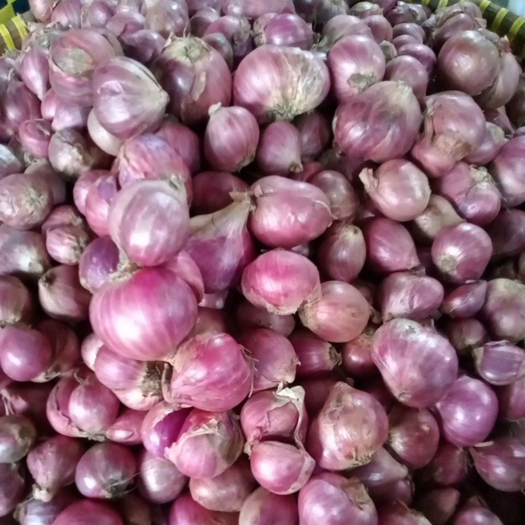 bawang merah super 1 kilo