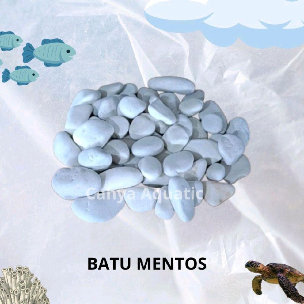 batu mentos putih (batu hias aquarium)