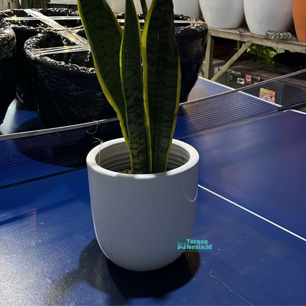 Invoice Pot Gerabah Mini / Pot Keramik Putih Glossy