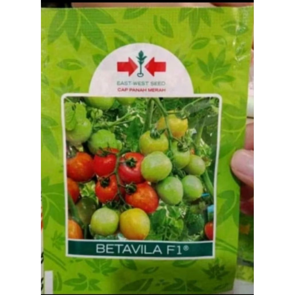 Benih Tomat BETAVILA F1 Isi 1750 Butir