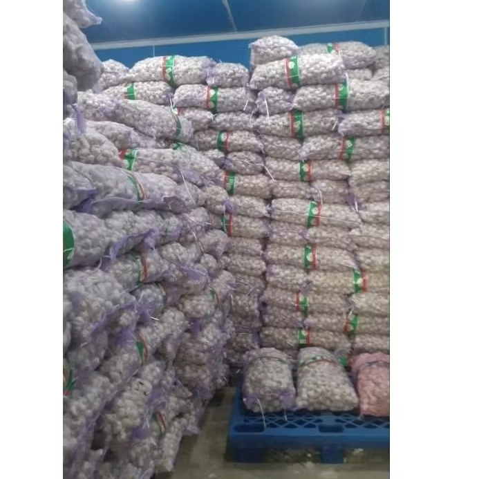 bawang putih kating 20kg