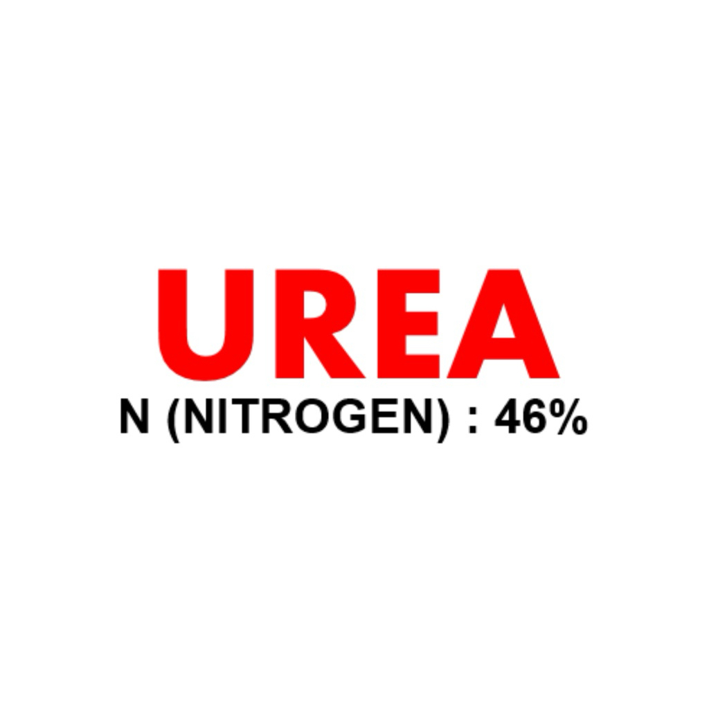 PUPUK UREA 50kg
