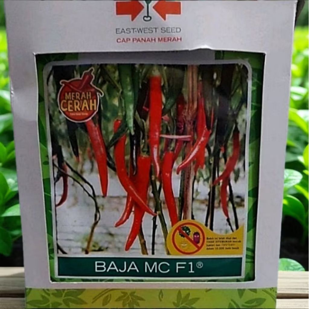 Benih Cabe Besar BAJA MC F1 Isi 1.500 Butir