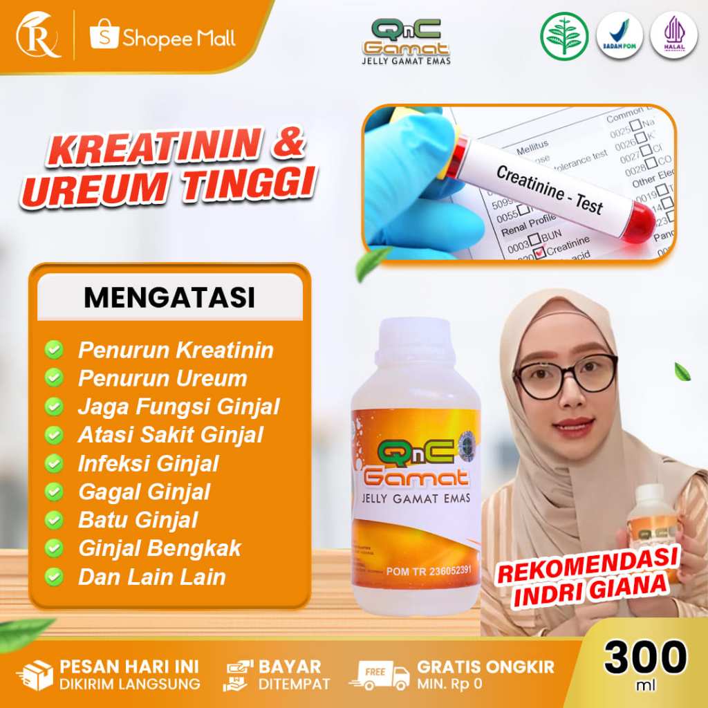 QNC JELLY GAMAT Obat Penurun Kreatinin Dan Ureum Menormalkan Fungsi Ginjal Atasi Sakit Ginjal