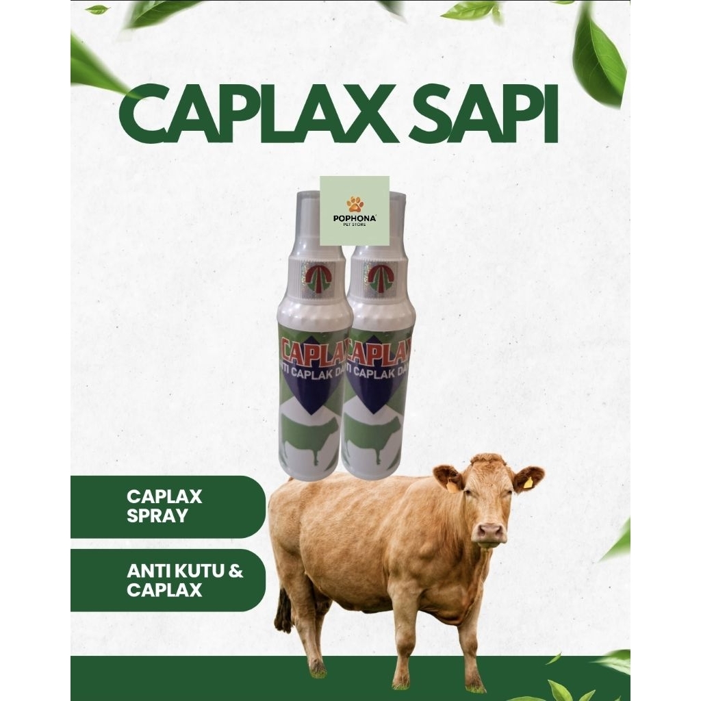 Caplax sapi 120 ml spray obat kutu sapi semprot