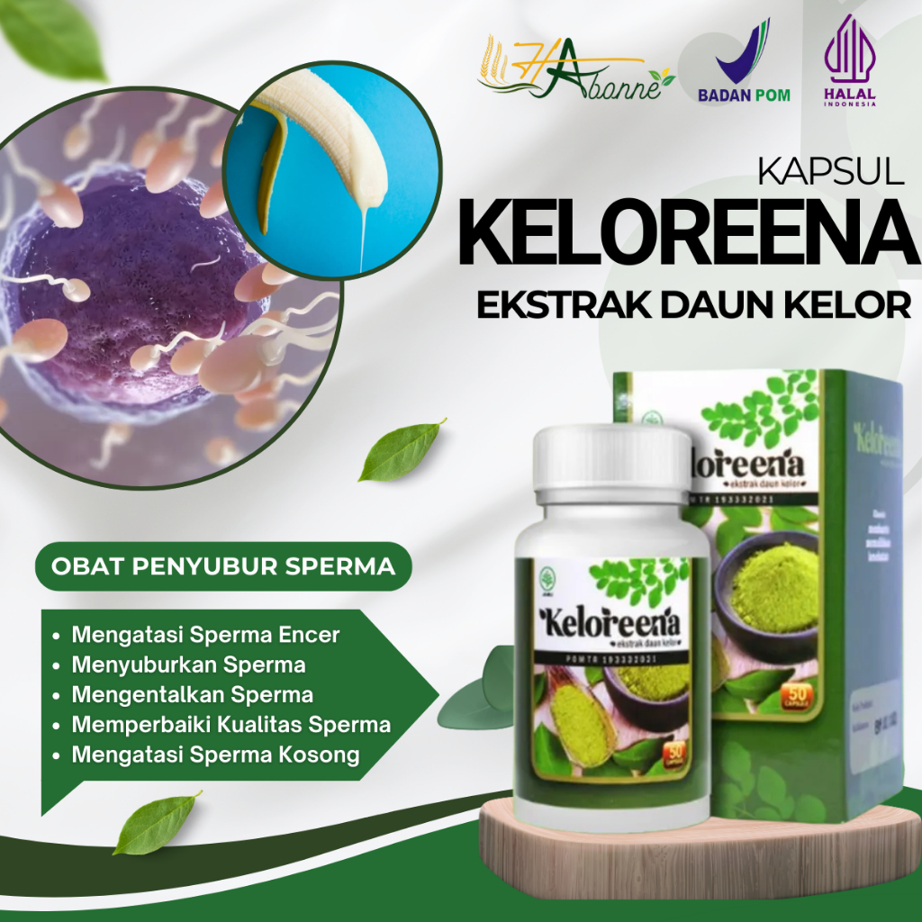Keloreena - Penyubur Sperma, Pengental Sperma, Perbaikan Kualitas Sperma Banyak Dan Kental Herbal