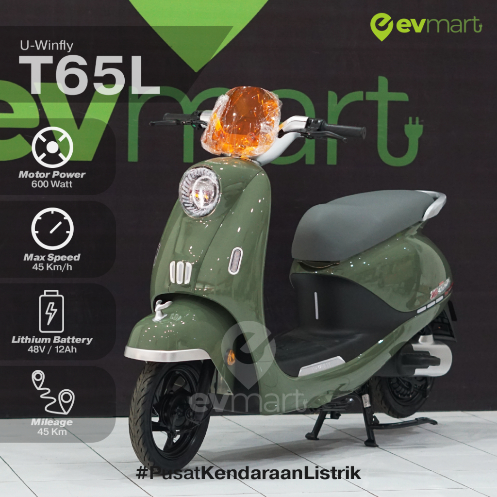 SEPEDA LISTRIK U-WINFLY T65L