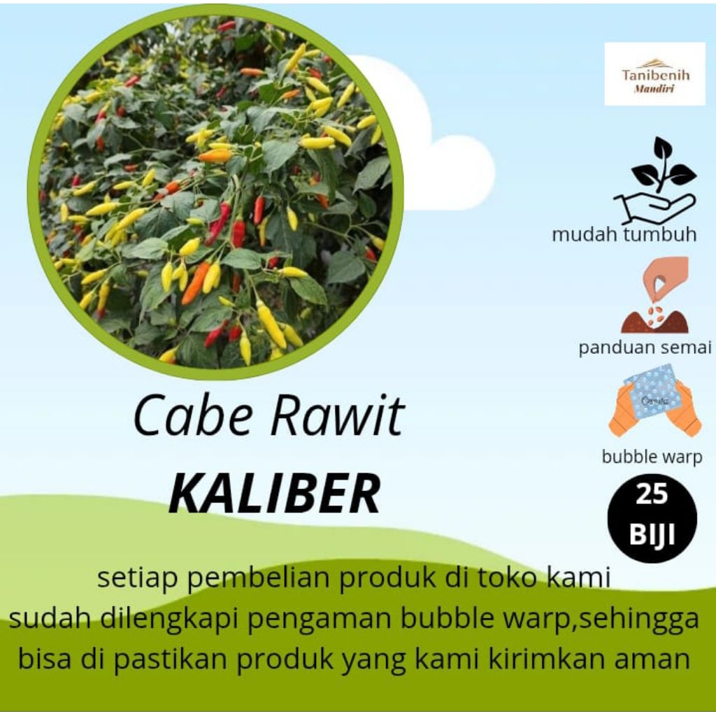 25 Biji benih Cabe rawit KALIBER,Cabe rawit merah unggulan