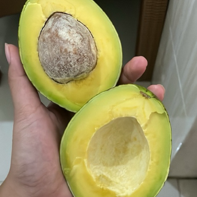 Alpukat Mentega Kelud / Grade B / Alpukat Blitar / Alpukat Kelud / Isi 5-6