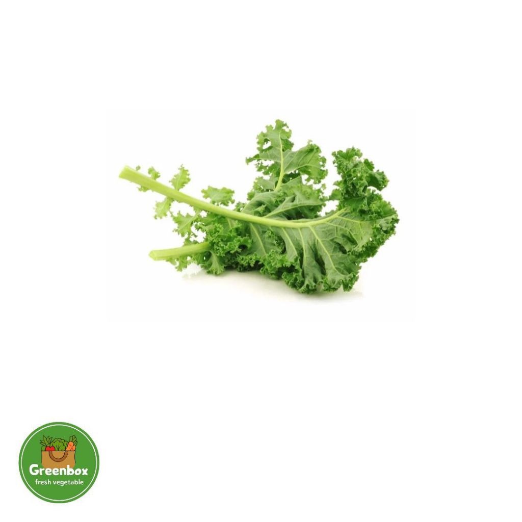 Kale Hidroponik sayuran daun