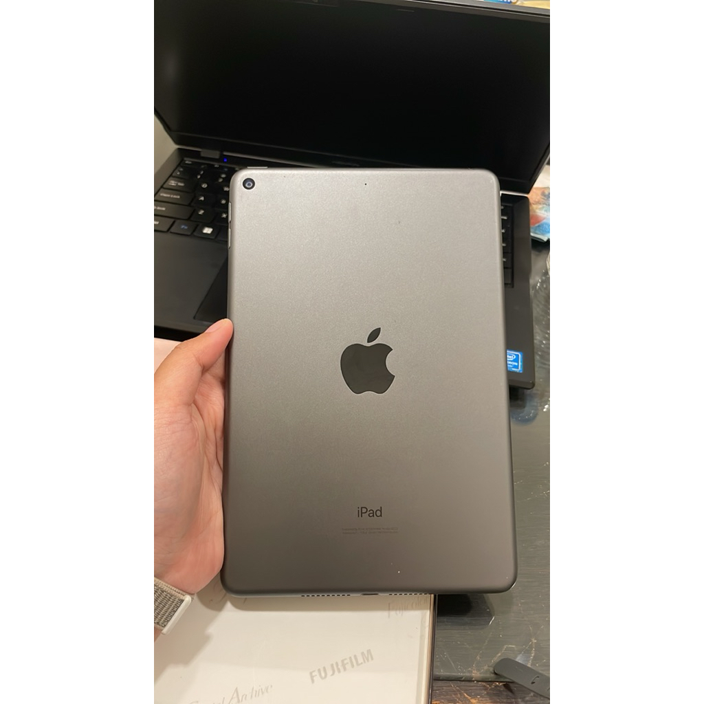 Ipad Mini 5 256gb - Grey