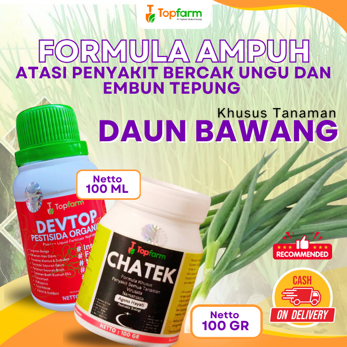 Pestisida Daun Bawang / Obat Lalat Dan Ulat Sayuran Daun Bawang / Obat Hama Daun Bawang / Pestisida 