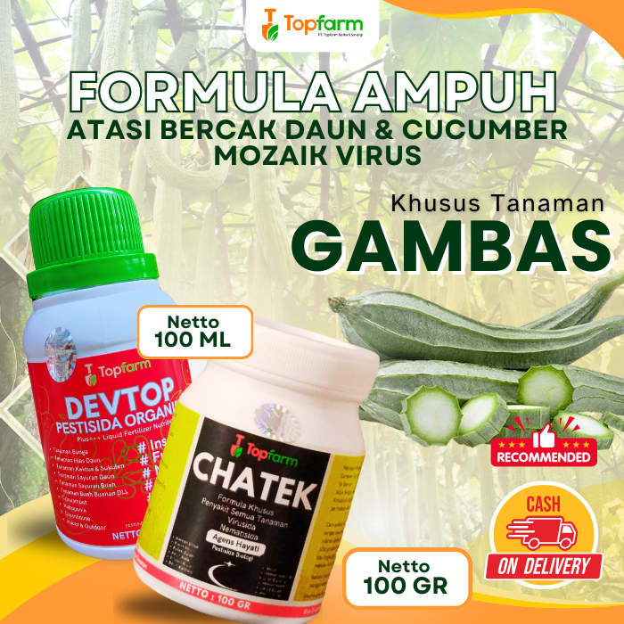 Pestisida Gambas Oyong / Obat Pembasmi Hama Penyakit Lalat Buah Tanaman Sayuran Gambas Oyong / Obat 
