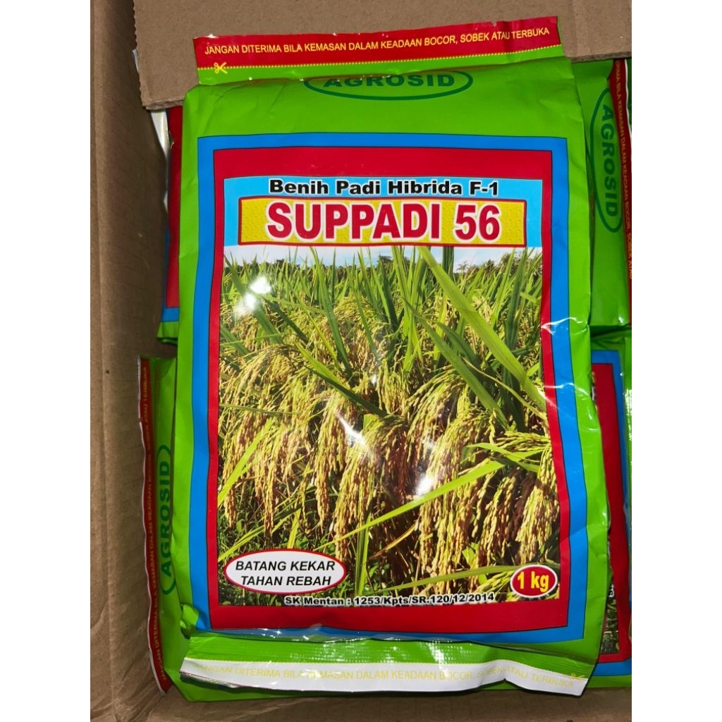 Benih Padi Hibrida F-1 Supadi 56